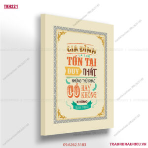 Gia đình là thứ tồn tại duy nhất, những thứ khác có hay không có không quan trọng - TKH 221