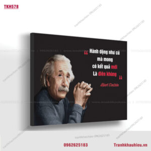 Hành động như cũ mà mong có kết quả mới là điên khùng - Albert Einstein - TKH578