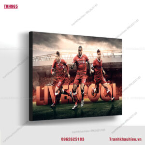 Đội tuyển bóng đá Liverpool - TKH965