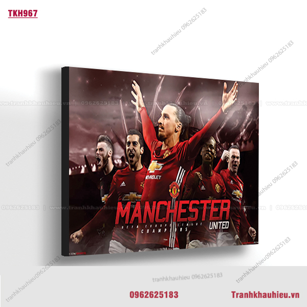 Đội tuyển bóng đá Manchester - TKH967