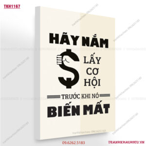 Hãy nắm lấy cơ hội trước khi nó biến mất - TKH1167