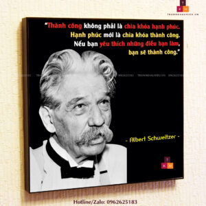 Thành công không phải là chìa khóa hạnh phúc....- Albert Schweirt - TKHPic